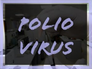 Article : La poliomyélite, une balle tirée aux innocents